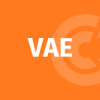 Conseil VAE Individuel