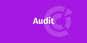 audit buraliste