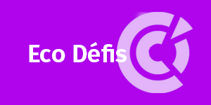 eco defis
